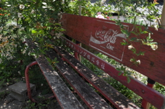 bench no.34