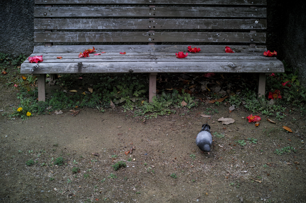 bench no.29