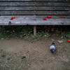 bench no.29