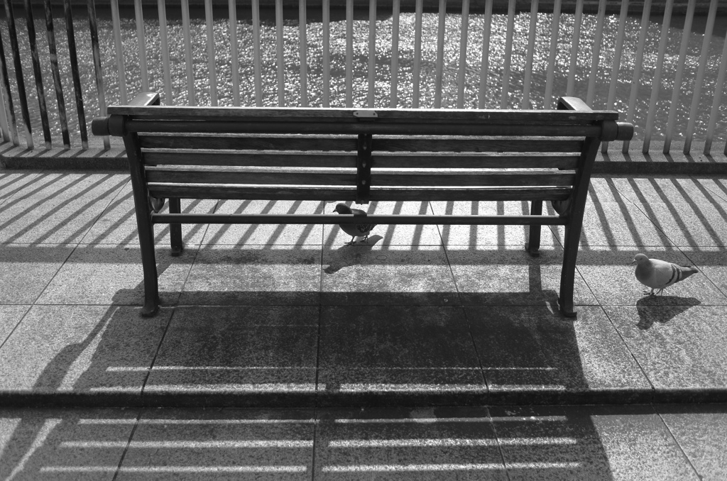 bench no.7