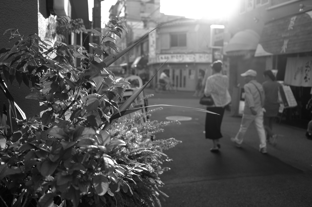 夕日に向かう