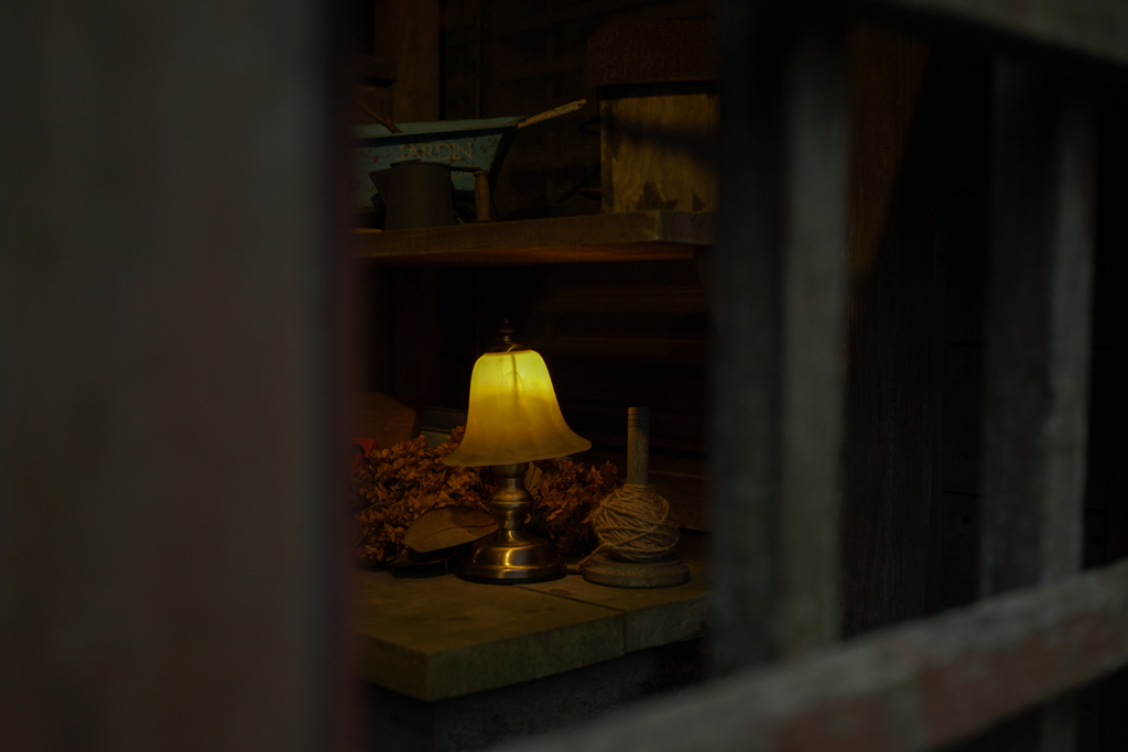Light