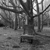 bench no.9