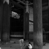 お子さんには　ヤサシク。