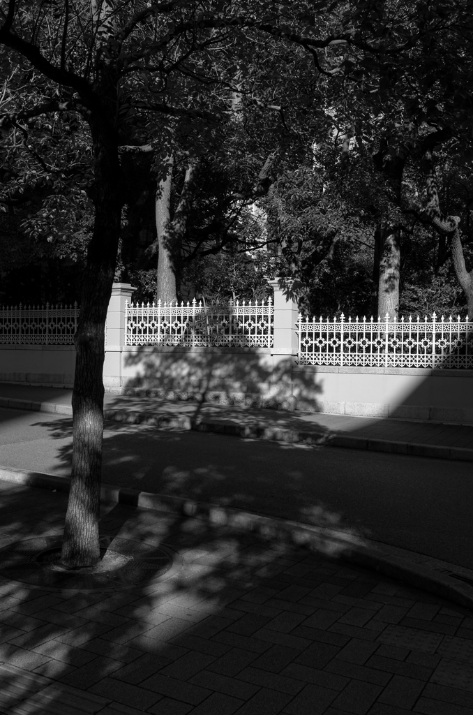 fence