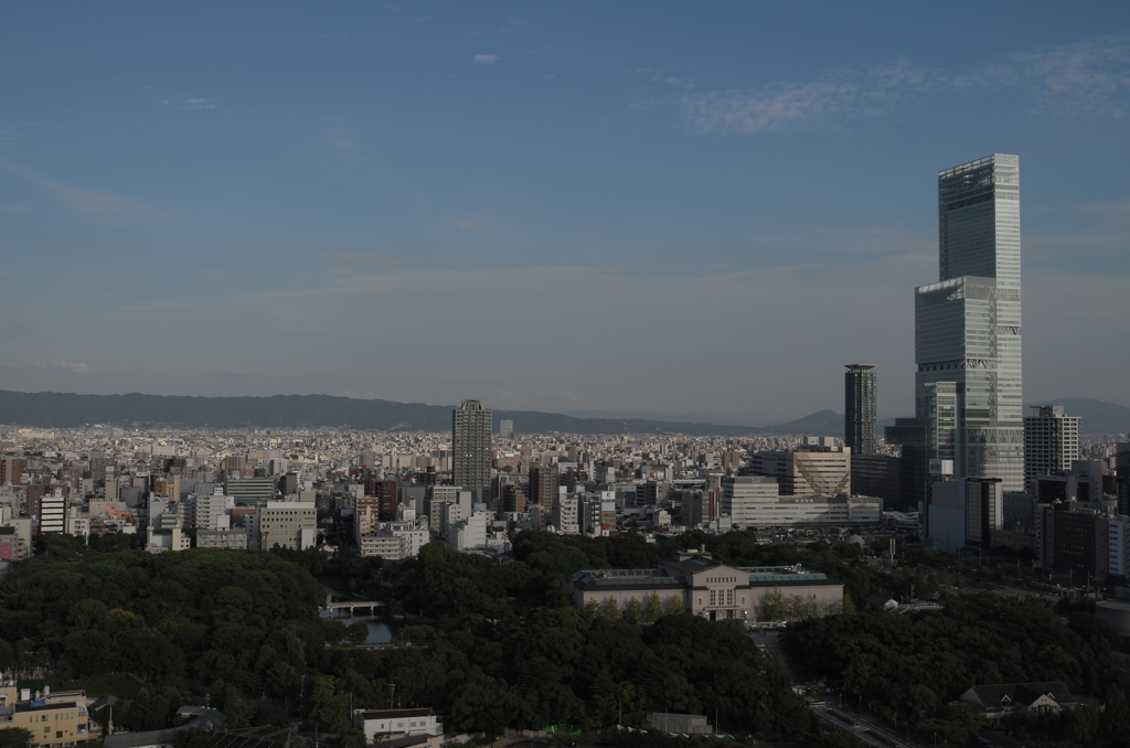受けて立つ