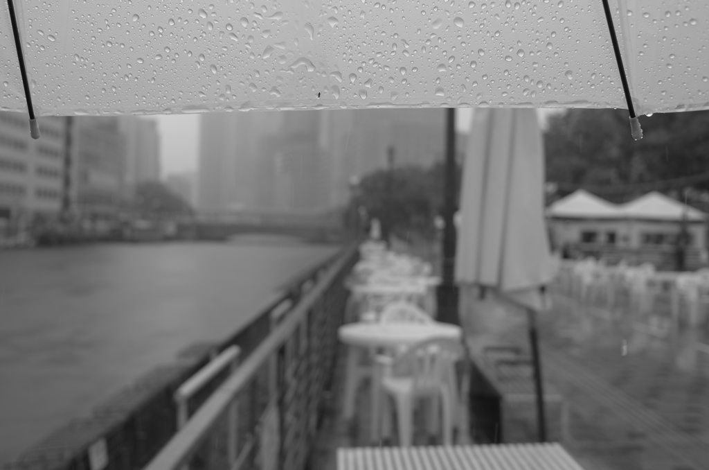 an umbrella