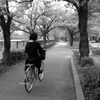 大川並走