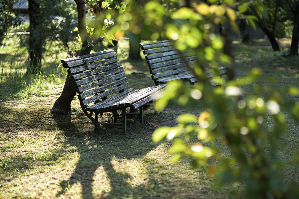 bench no.39