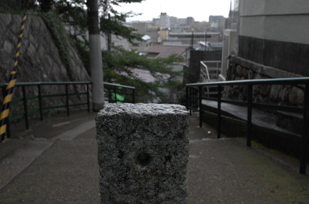 的中