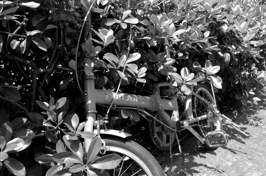 bike
