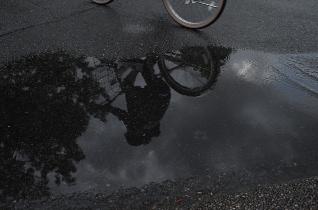 雨模様を横切る