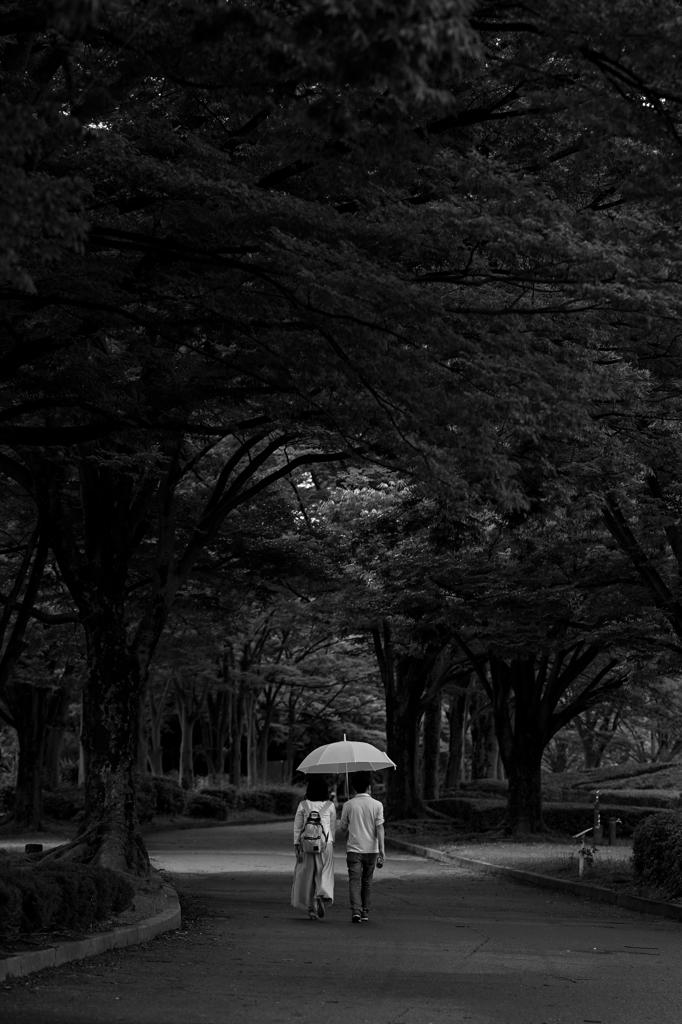 雨玉の音