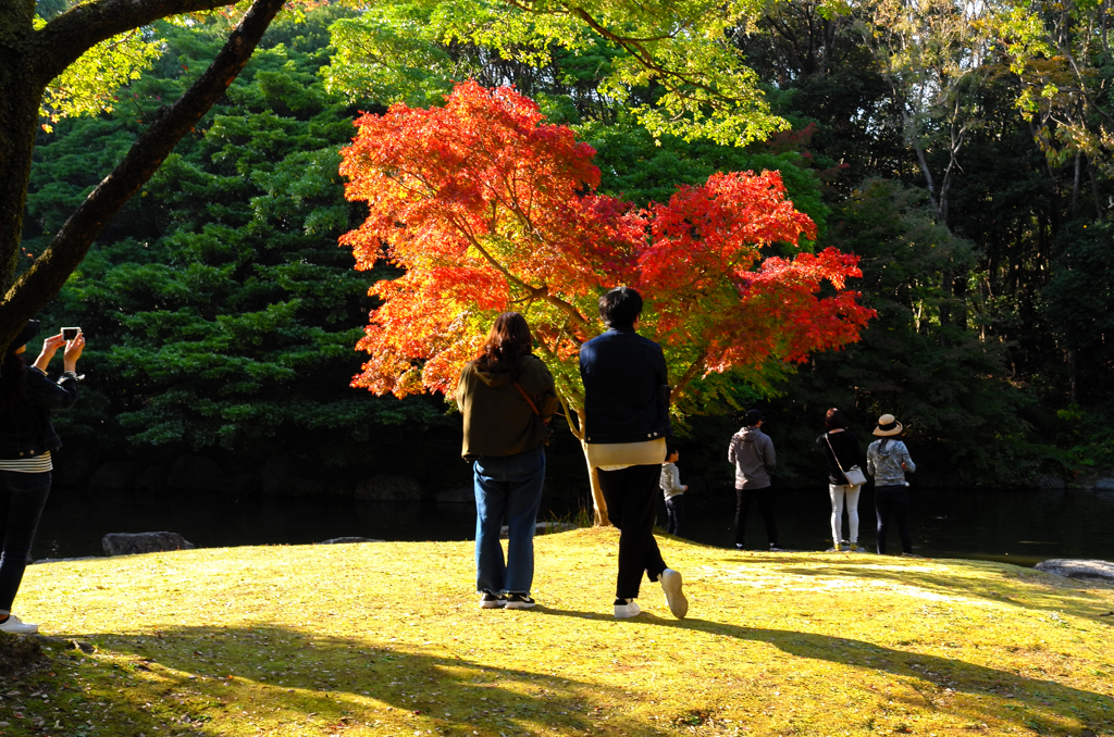 紅葉色と