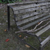 bench no.17