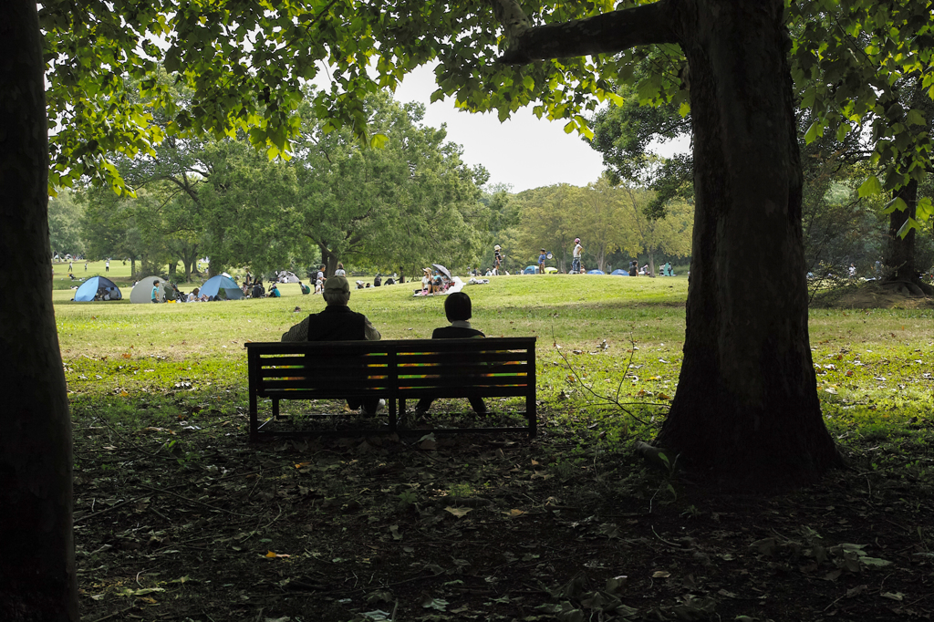 bench no.23