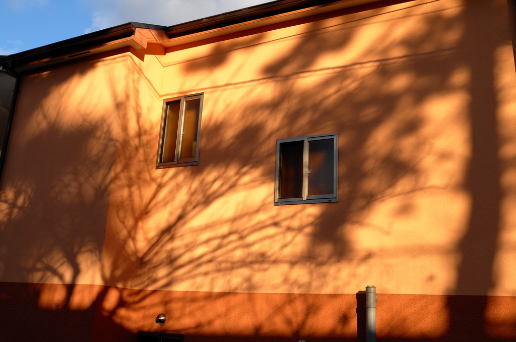 Orange Campus