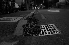 夜道