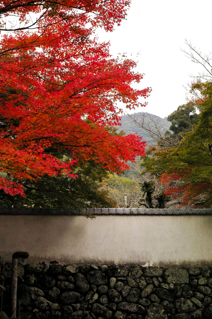 久安寺にて