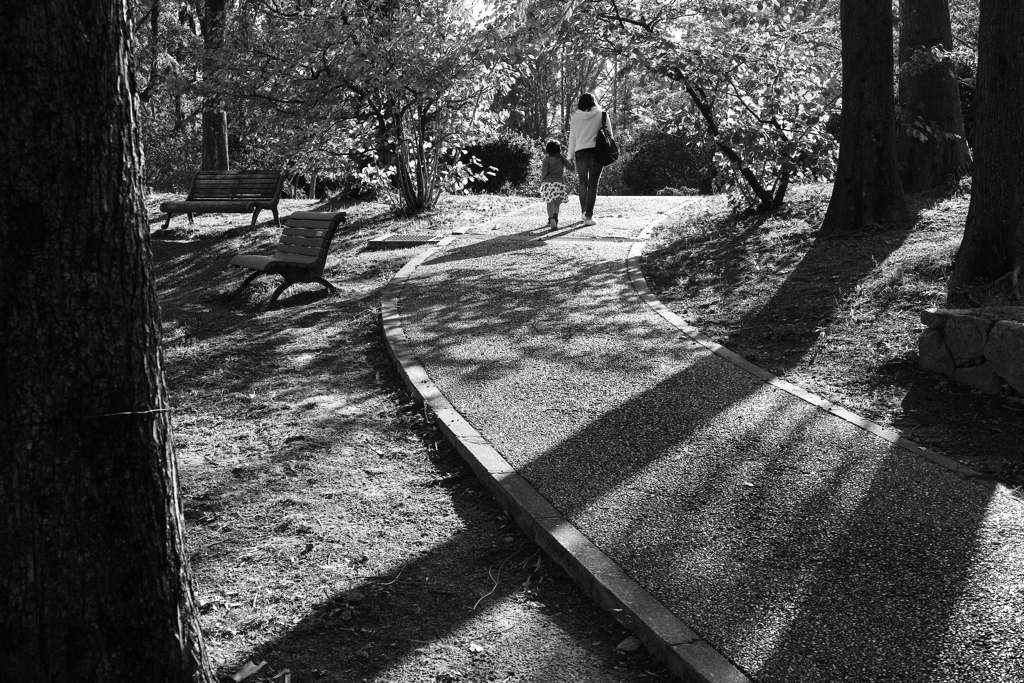 Path