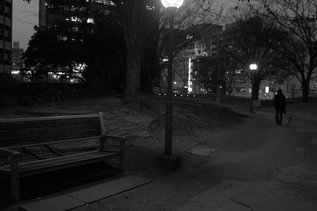 bench no.8