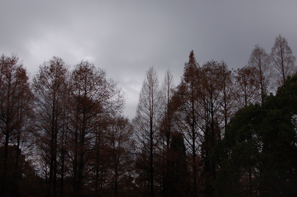 Park
