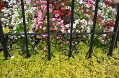 fence & flower