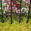 fence & flower