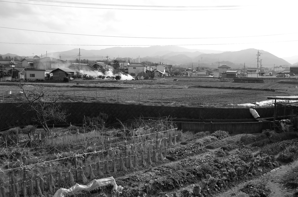 野焼き