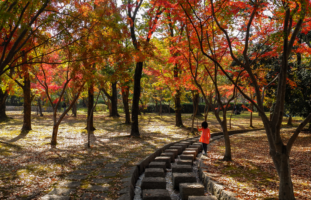 紅葉色の