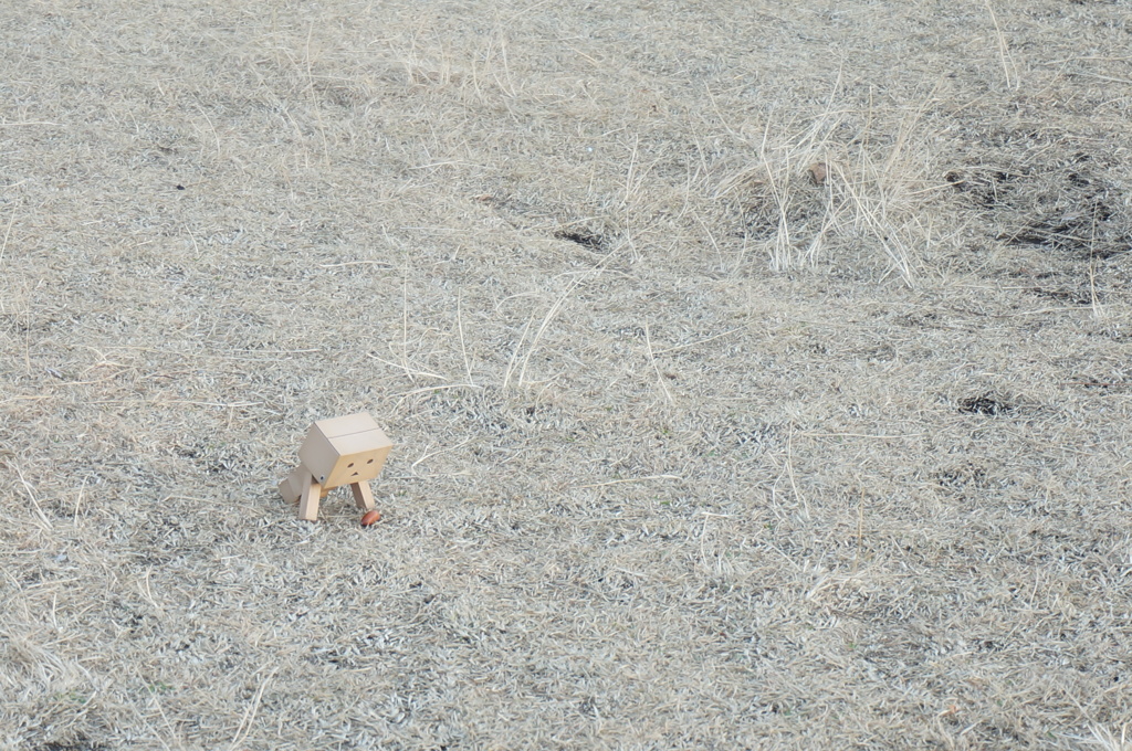 荒野で未来を見つける