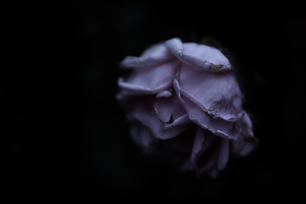 朽
