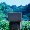 みどりに咽る