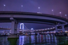 レインボウブリッジを望む