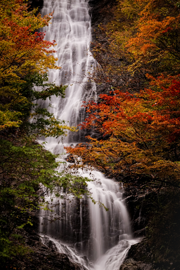 秋彩の滝
