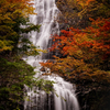 秋彩の滝