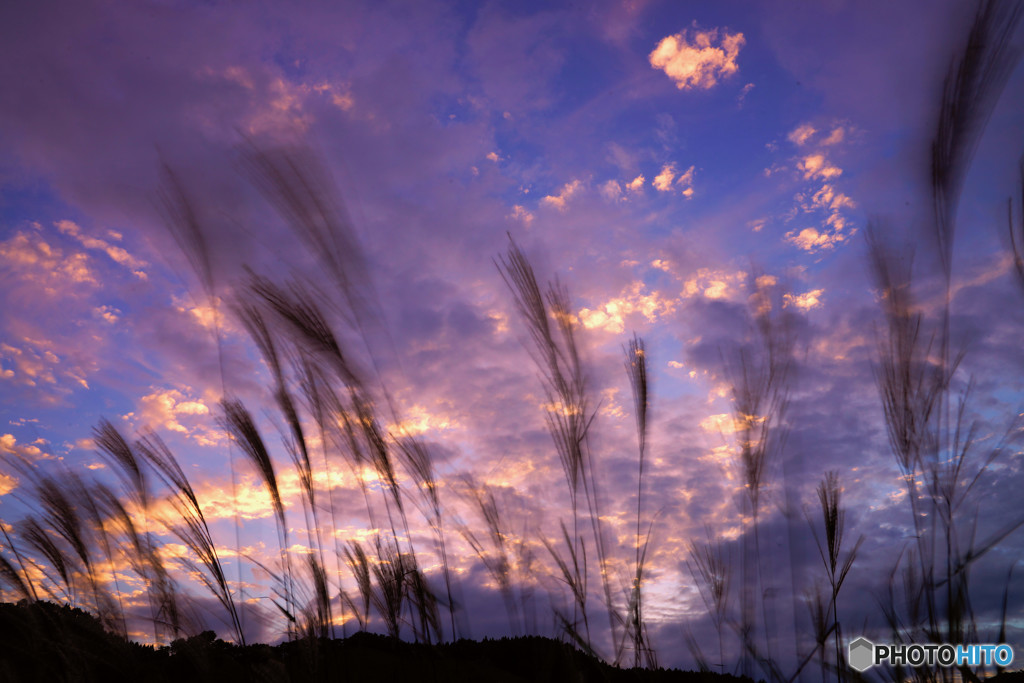秋の空