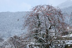 雪の山里