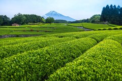 大淵笹場１