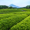 大淵笹場１