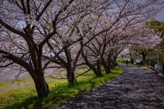 田沼街道蹟２