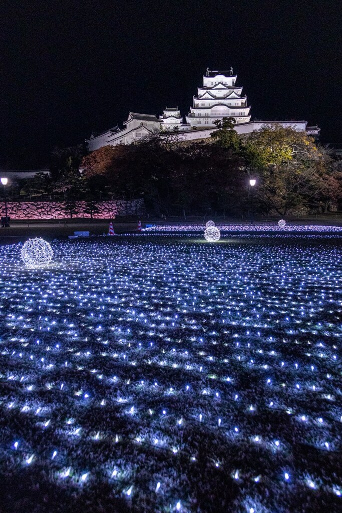 白鷺のライン