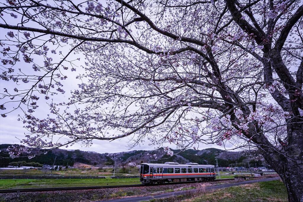 ローカル線の春