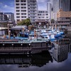 品川浦船溜り１