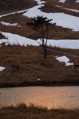 残雪の草原