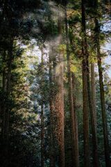 ダイヤモンド・ダスト