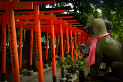 朱の整列