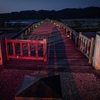 蓬莱橋夜明け前