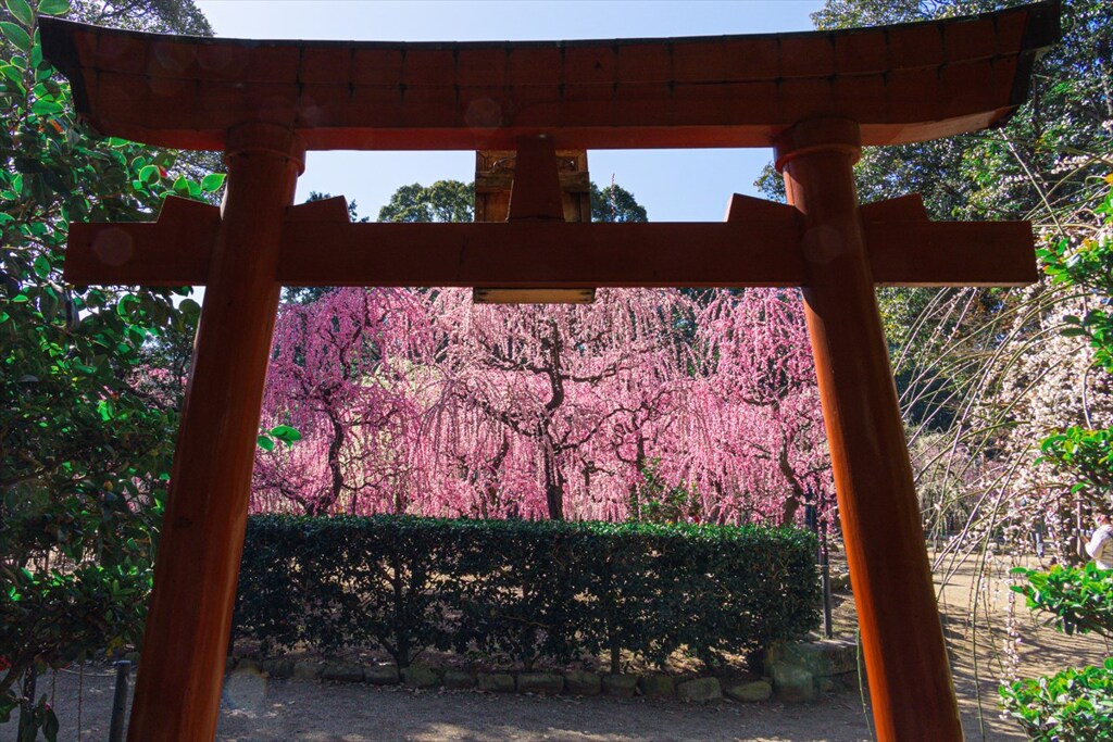 鳥居、出張りすぎ