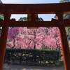 鳥居、出張りすぎ